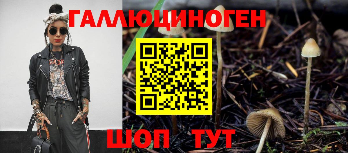 Ижевск  Псилоцибиновые грибы Psilocybe  Вход с VPN  Галлюциногенные грибы мухоморы 